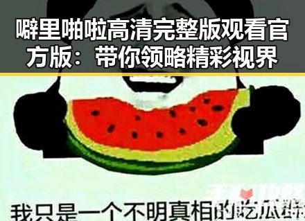 噼里啪啦高清完整版观看官方版：带你领略精彩视界