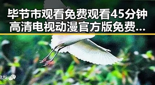 毕节市观看 免费观看45分钟高清电视动漫官方版免费版推荐