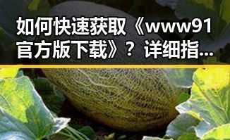 如何快速获取《www91官方版下载》?详细指南助你一臂之力