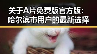 关于A片免费版官方版：哈尔滨市用户的最新选择