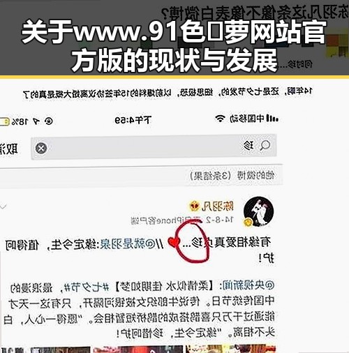 关于www.91色😍萝网站官方版的现状与发展