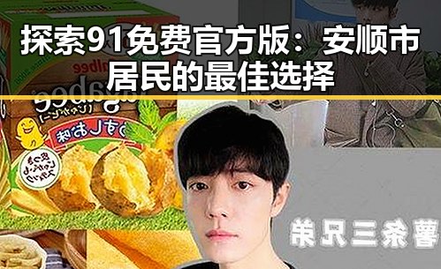 探索91免费官方版:安顺市居民的最佳选择