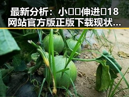 最新分析:小🐔🐔伸进🈲18网站官方版正版下载现状与趋势