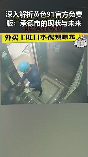 深入解析黄色91官方免费版:承德市的现状与未来