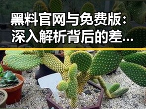 黑料 官网与免费版：深入解析背后的差异与趋势