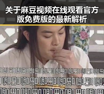 关于麻豆视频在线观看官方版免费版的最新解析