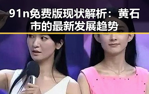91n免费版现状解析:黄石市的最新发展趋势