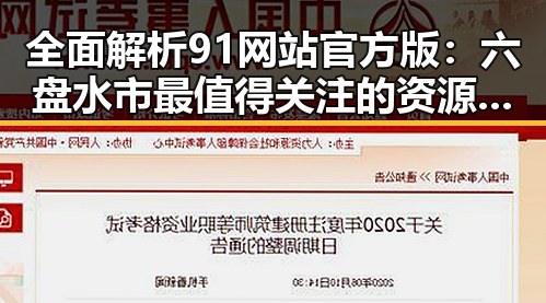 全面解析91网站官方版:六盘水市最值得关注的资源平台