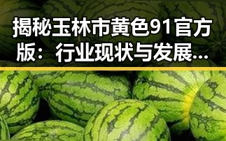 揭秘玉林市黄色91官方版：行业现状与发展前景