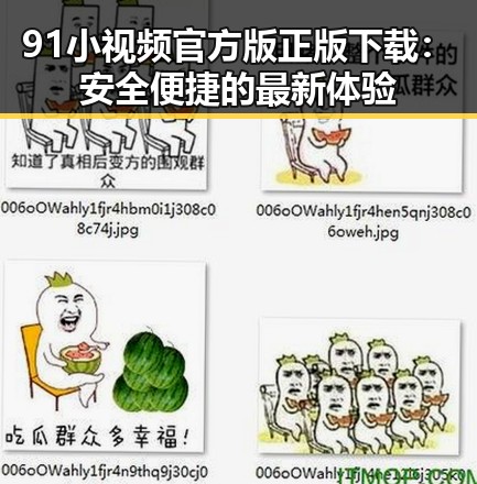 91小视频官方版正版下载:安全便捷的最新体验