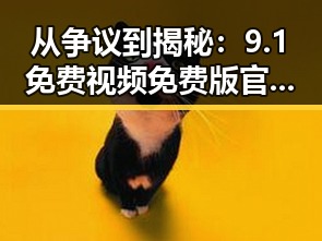 从争议到揭秘：9.1免费视频免费版官方版下载的真实面貌