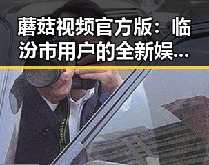 蘑菇视频官方版：临汾市用户的全新娱乐体验