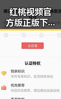 红桃视频官方版正版下载：最新安全可靠的观看选择