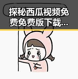探秘西瓜视频免费免费版下载：临沧市用户的新选择