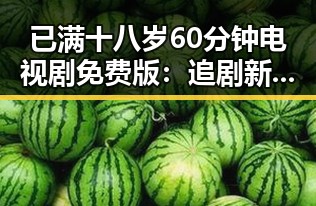 已满十八岁60分钟电视剧免费版:追剧新体验的现状与展望