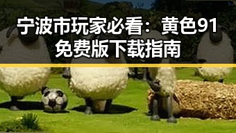宁波市玩家必看：黄色91免费版下载指南