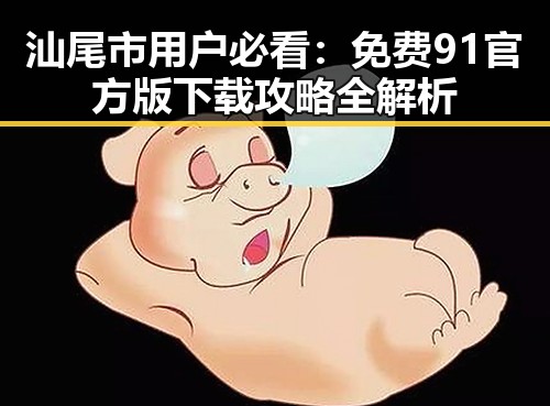 汕尾市用户必看：免费91官方版下载攻略全解析