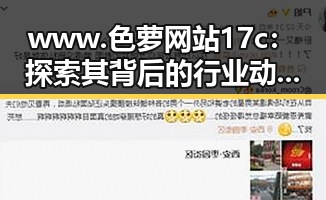 www.色 萝网站17c:探索其背后的行业动态与影响力