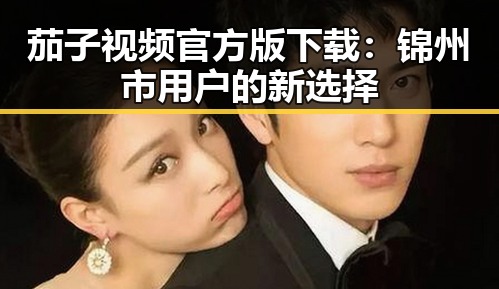 茄子视频官方版下载:锦州市用户的新选择