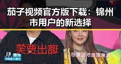 茄子视频官方版下载:锦州市用户的新选择