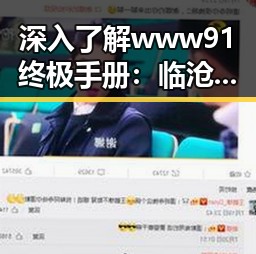 深入了解www91终极手册：临沧市的精彩指南