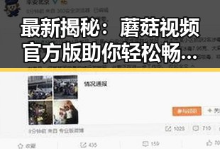 最新揭秘：蘑菇视频官方版助你轻松畅享乌鲁木齐市娱乐内容