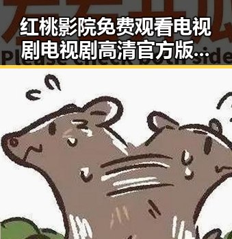 红桃影院免费观看电视剧电视剧高清官方版免费版：南充市热映新剧推荐