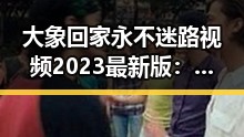 大象回家永不迷路视频2023最新版：背后的奇迹与解读