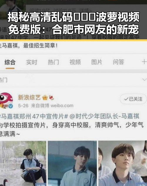 揭秘高清乱码🔞❌♋波萝视频免费版：合肥市网友的新宠