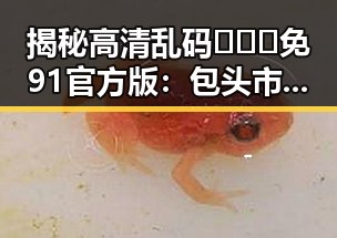揭秘高清乱码🔞❌♋免91官方版:包头市用户的新选择