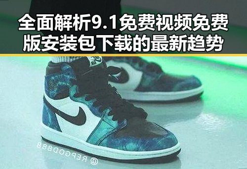 全面解析9.1免费视频免费版安装包下载的最新趋势