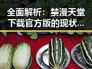 全面解析：禁漫天堂下载官方版的现状与争议