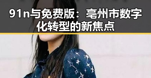 91n与免费版:亳州市数字化转型的新焦点