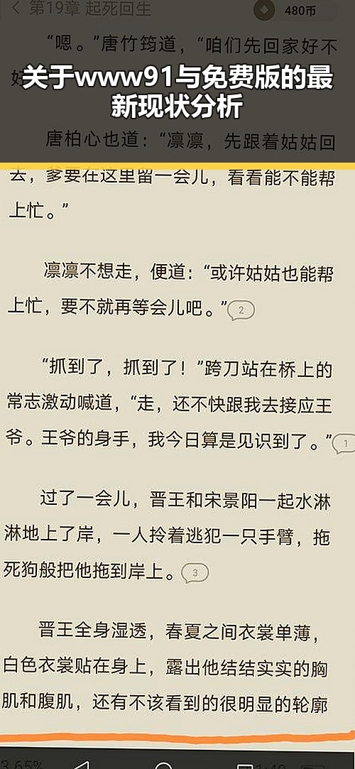 关于www91与免费版的最新现状分析