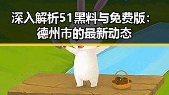 深入解析51黑料与免费版：德州市的最新动态