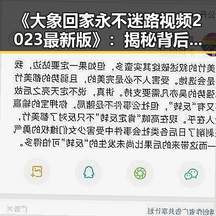 《大象回家永不迷路视频2023最新版》：揭秘背后温暖的故事