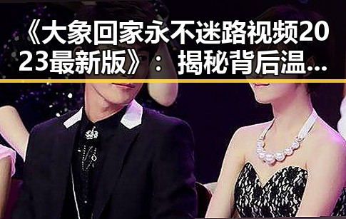 《大象回家永不迷路视频2023最新版》:揭秘背后温暖的故事