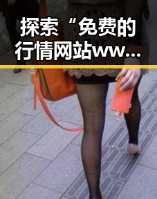 探索“免费的行情网站www/大全百度搜索免费版”的实用指南